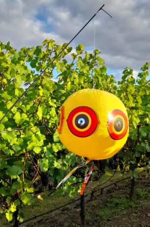 pallone anti uccello