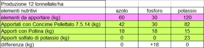 concimazione della vite