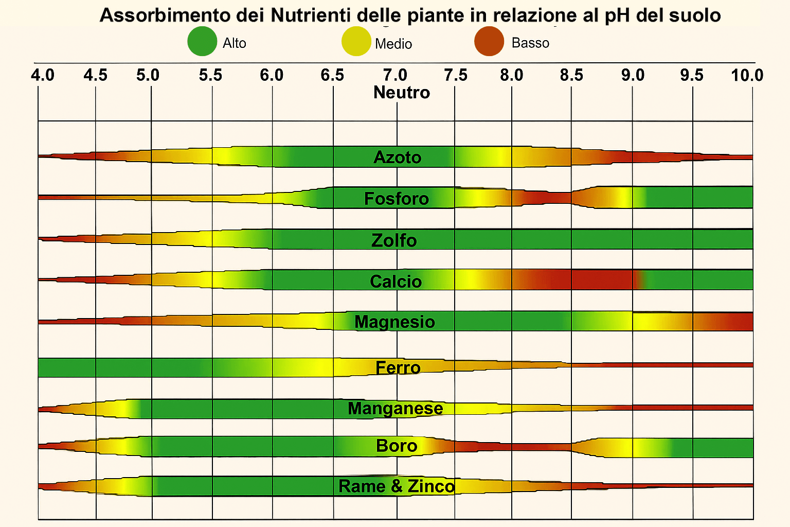 Tabella che mostra l'assimilazione dei nutrienti delle piante in base al pH del terreno